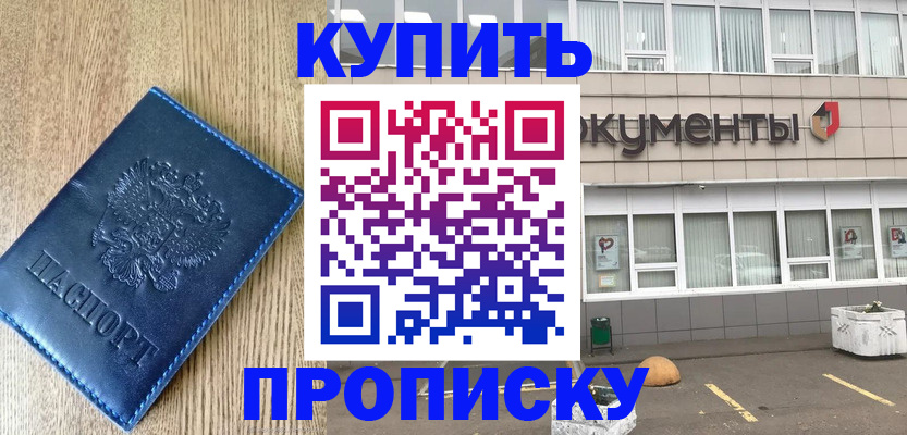 временная регистрация поиск в Курчалом